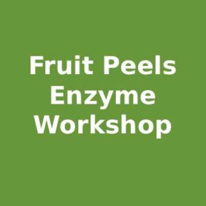 Workshop - 3 Dec 2025 (Wed) 7-8pm